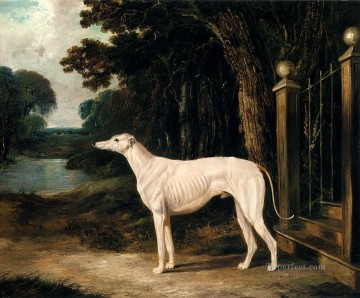 ジョン・フレデリック・ヘリング・シニア Painting - ヴァンドー・ホワイト・グレイハウンド・ニシン・シニア・ジョン・フレデリック馬